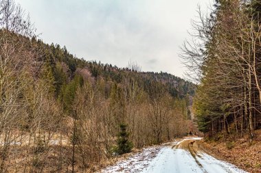Kar ve ağaçlarla kaplı kış manzarası