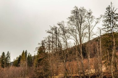 dağlarda kar ile güzel manzara