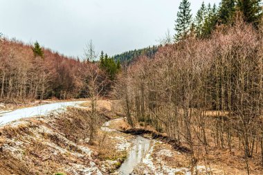 dağlarda bir yol ile kış manzarası