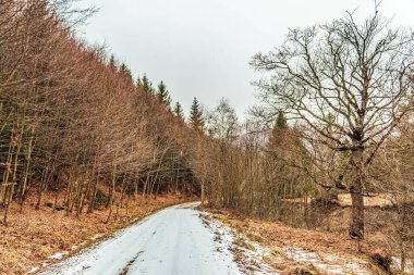 Ormanda yol, ormanda yol.