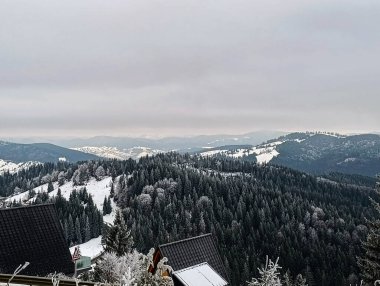 Dağlardaki güzel karlı bir dağ ormanının dikey görüntüsü.