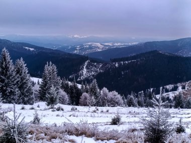 Güzel kış manzarası Karlı ağaçlar ve dağlarla