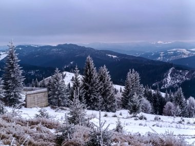 Karla kaplı ağaçlarla kaplı güzel kış manzarası