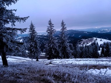 Bol karlı güzel kış manzarası