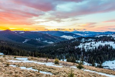 Kar ve ağaçlarla kaplı kış manzarası