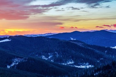 Kışın renkli köknar ağaçlarıyla kaplı dağ manzarası