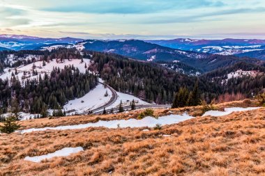 Önünde karla kaplı ağaçlarla kış dağlarında güzel bir günbatımı..