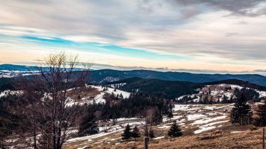 Orman Kış dağ manzarası kar ile kaplı