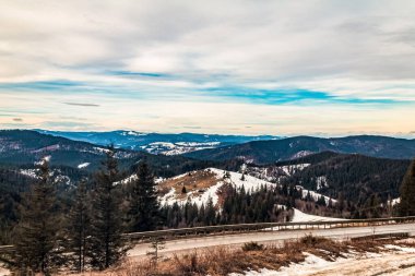 İspanya 'nın arka planında ağaçlarla ve mavi gökyüzüyle karlı bir ormanın güzel bir görüntüsü
