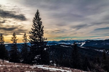 Karpat Dağları'nın güzel kış manzarası