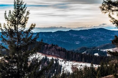 Kışın dağlarda kar ve çam ağaçlarıyla kaplı tepelerin dikey görüntüsü.
