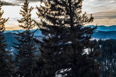 Dağları ve ormanı olan güzel bir manzara.