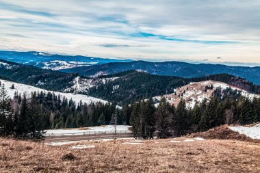 Karla kaplı ağaçlarla kaplı güzel kış manzarası
