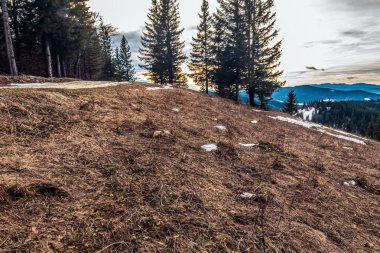 Dağlarda bulutlu bir gökyüzünün altında güzel bir orman görüntüsü.