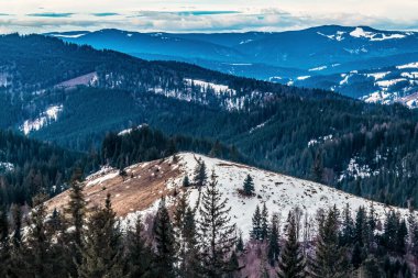 Bir dağ ve çam ağacı olan güzel bir manzara.