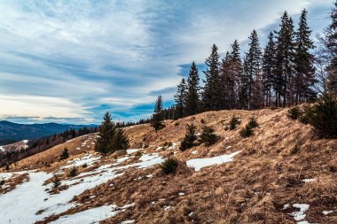 Ağaçlı güzel bir dağ manzarası.