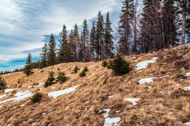 Kış manzarası karla kaplı tepeler