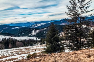 Karla kaplı ağaçlarla kaplı kış manzarası