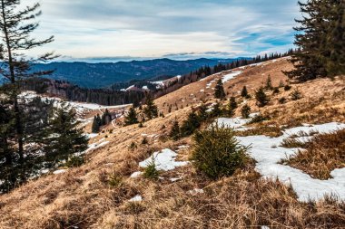 Karpatlar 'daki güzel dağ manzarası