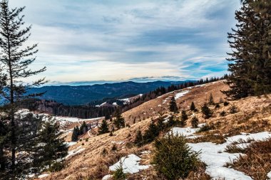 Karpatya dağlarında kış