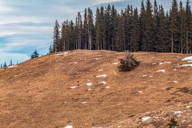 Karpat dağlarında dağ yamacı