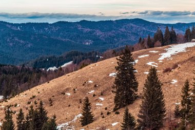 Dağlarda karla kaplı kış manzarası. Karpatlar, Ukrayna