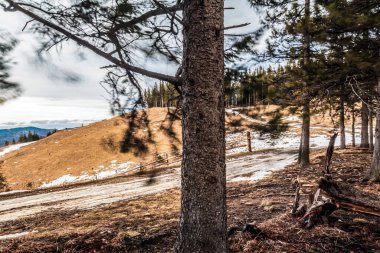 Karpatlar güzel kış manzarası