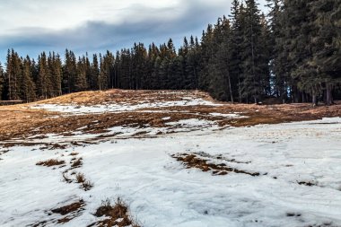 Karpat Dağları 'ndaki güzel dağ manzarası
