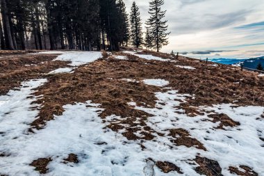 Romanya 'nın Karpat Dağları' ndaki kış manzarası