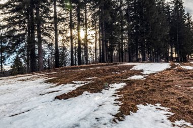 Karla kaplı ormanlı dağlarda güzel bir kış manzarası