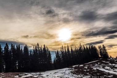 Ağaçları ve dağları olan karlı bir ormanın dikey görüntüsü.