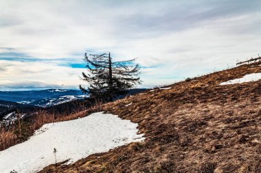 Karpat Dağları'nın kış manzarası