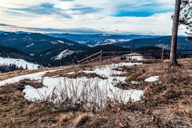 Ağaçlar ve karla kaplı dağ manzarası