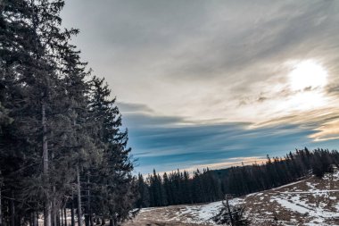 Karla kaplı ağaçlarla kaplı güzel kış manzarası
