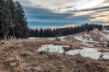 beautiful winter landscape with snow covered trees and mountains