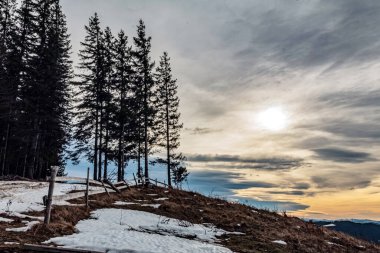 Dağlarda bir ağaçla kış manzarası