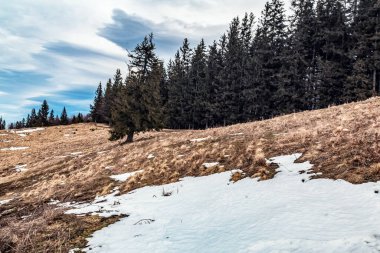 Karla kaplı ağaçlarla kaplı güzel kış manzarası