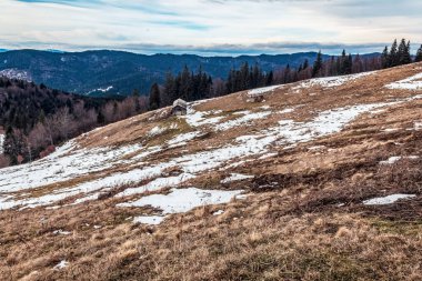 Karla kaplı ağaçlarla kaplı dağ manzarası