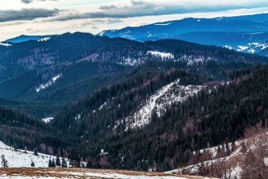 Karlı dağlar ve ormanlı güzel kış manzarası