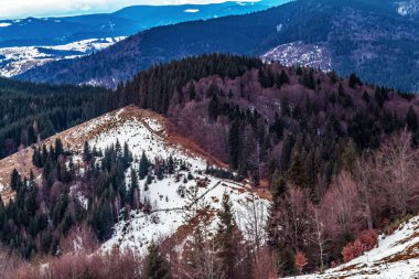 Dağları ve ormanı olan güzel bir manzara.
