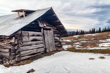 Ormanda terk edilmiş eski bir ev.