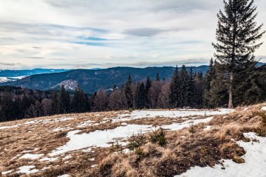Bir kış günü çam ormanı olan bir dağ sırasının güzel manzarası