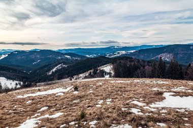 köknar ormanlı kış dağı manzarası
