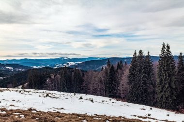 Karpatlar 'da kış dağı manzarası