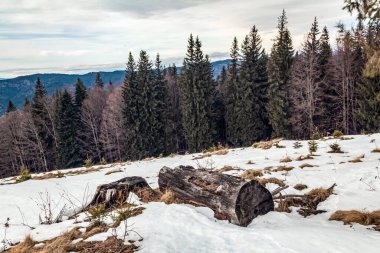 Kışın dağlarda kar yağar