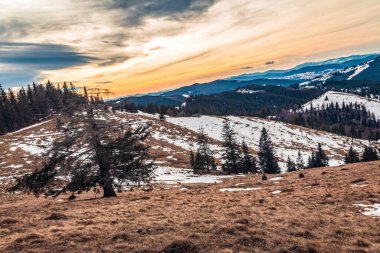 Karpat Dağlarının güzel kış manzarası
