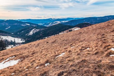 Karpatlar 'daki güzel dağ manzarası