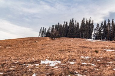 Kışın güzel dağ manzarası, Ukrayna
