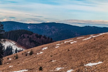 Ağaçlar ve karla kaplı güzel bir manzara. Sonbaharda arka planda zirveler.