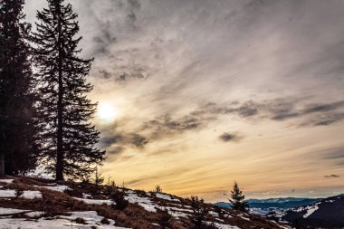 Karlı ağaçlar ve dağlarla kaplı kış manzarası